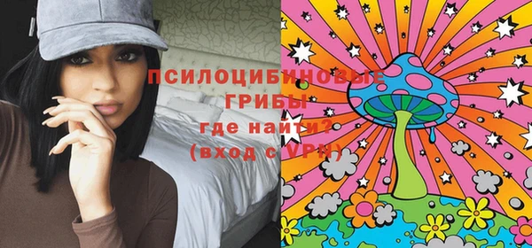 тгк Богданович
