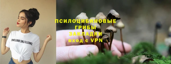 тгк Богданович