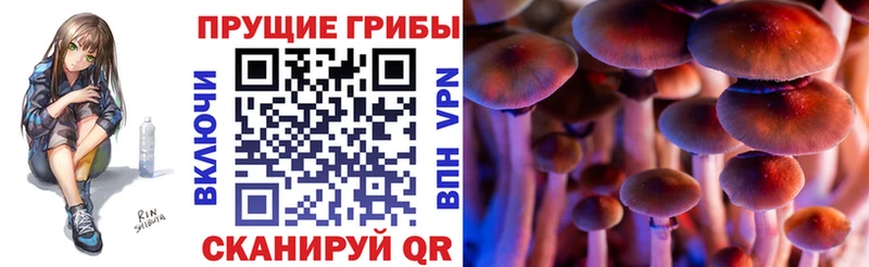 Галлюциногенные грибы мухоморы  дарк нет клад  Венёв 